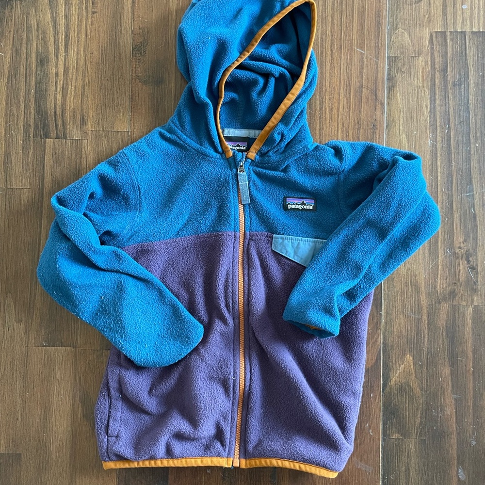 Patagonia Kids Teal and Purple Fleece Hoodie